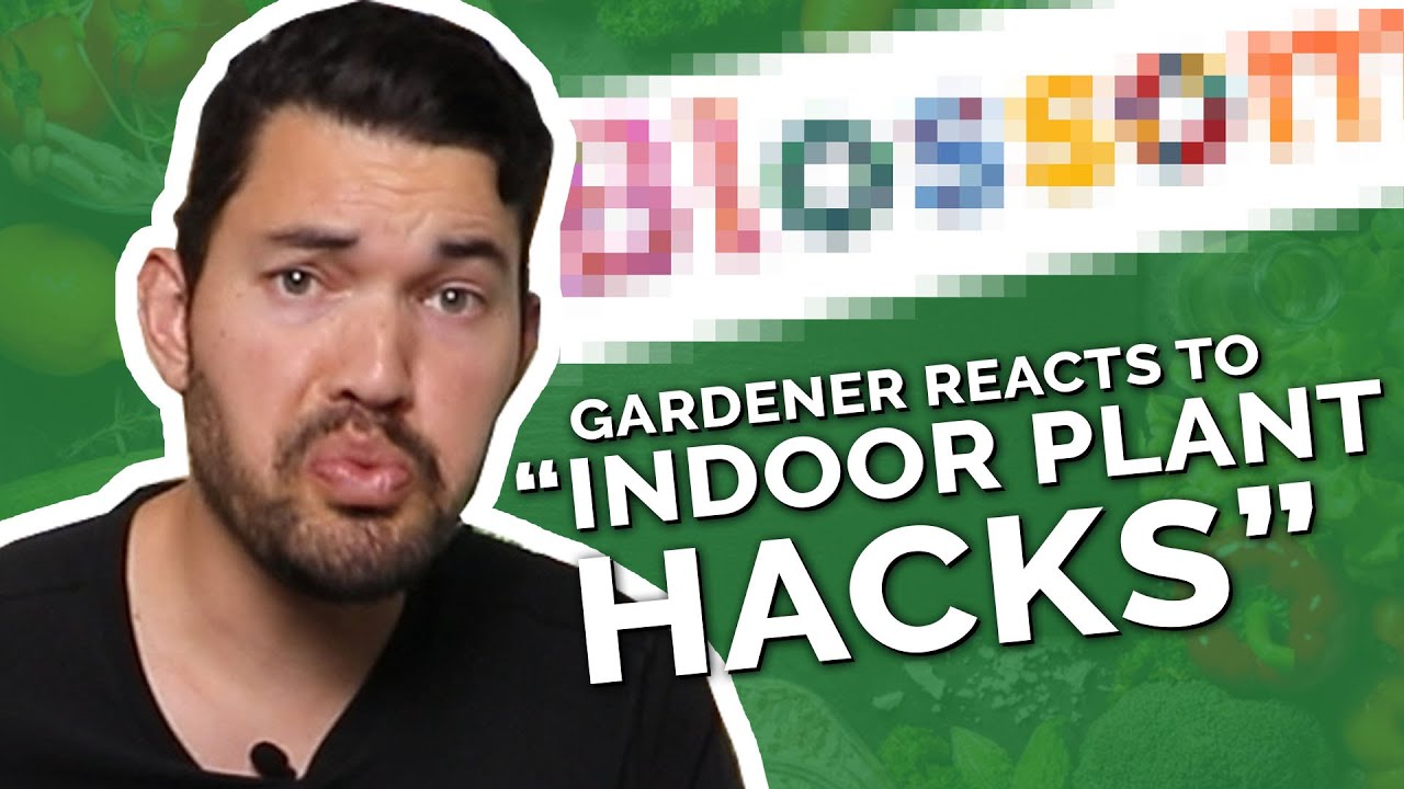 Gardener Roasts Dumb 