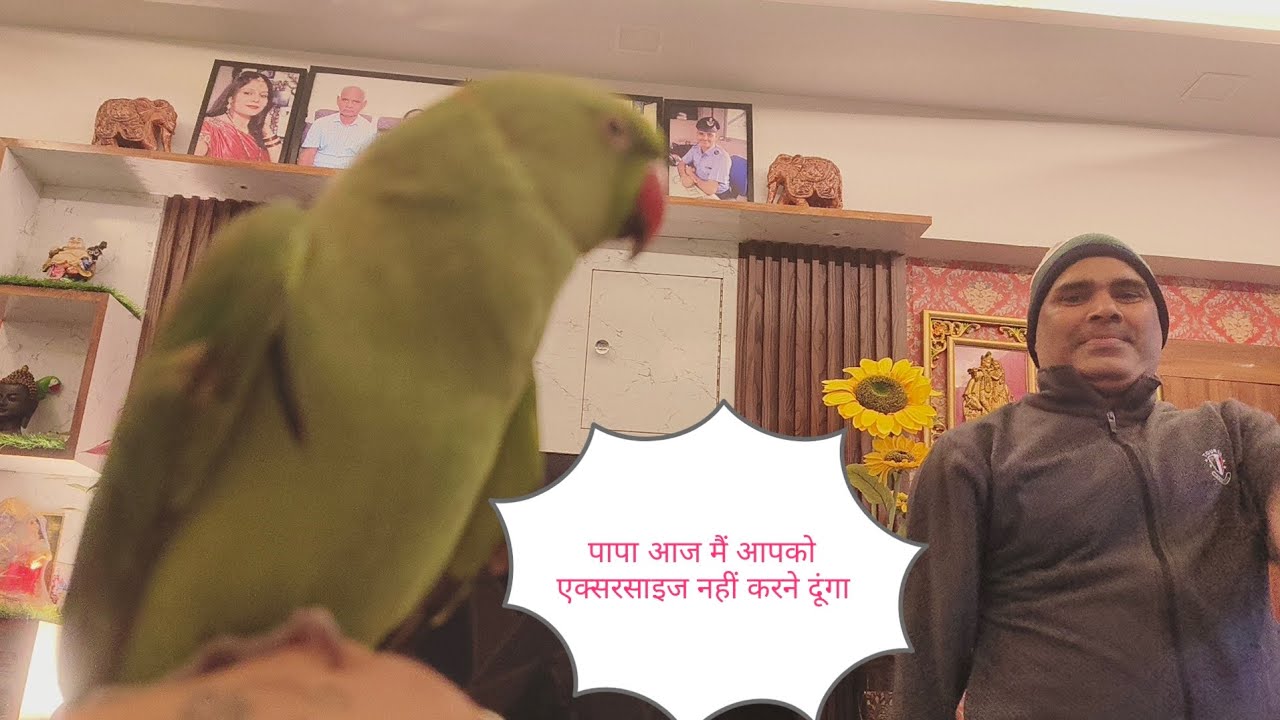पापा आपको मैं एक्सरसाइज नहीं करने दूंगा आज 🥰🧿🦜#like #viral #video #subscribe 🦜