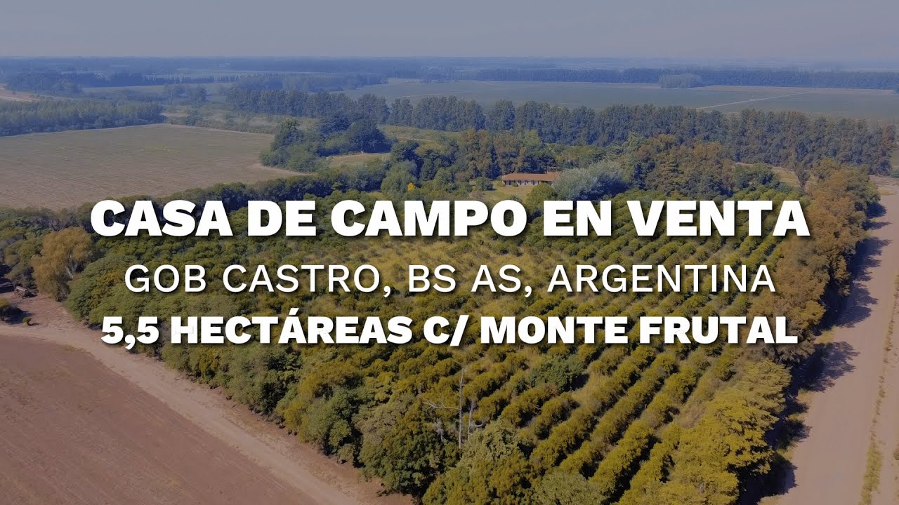 Excelente CASA DE CAMPO en VENTA - Gobernador Castro, Buenos Aires