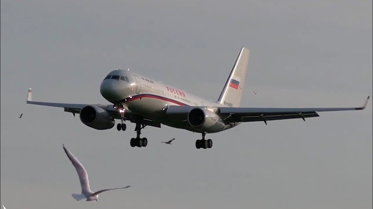 ✈Ту-204-300 - Самый короткий самолет из семейства Ту-204 / Аэропорт Внуково 2020