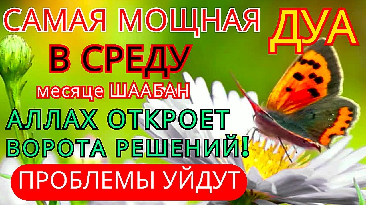 ✨СУРА КАХФ КАЖДУЮ ВО ВТОРНИК ЧИТАЙТЕ СЛУШАЙТЕ В МЕСЯЦА Рабиуль-Ахир #суракахф  #ЧитайКоран