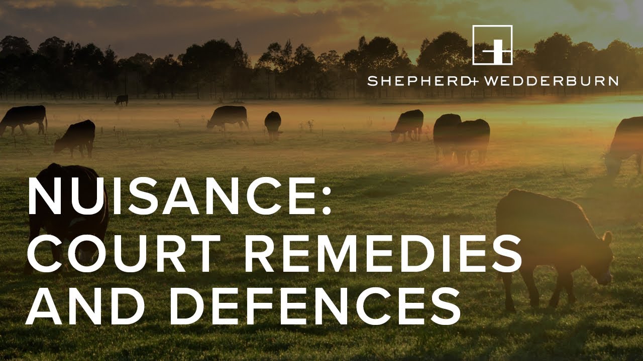 Nuisance &ndash; court remedies and defences webinar