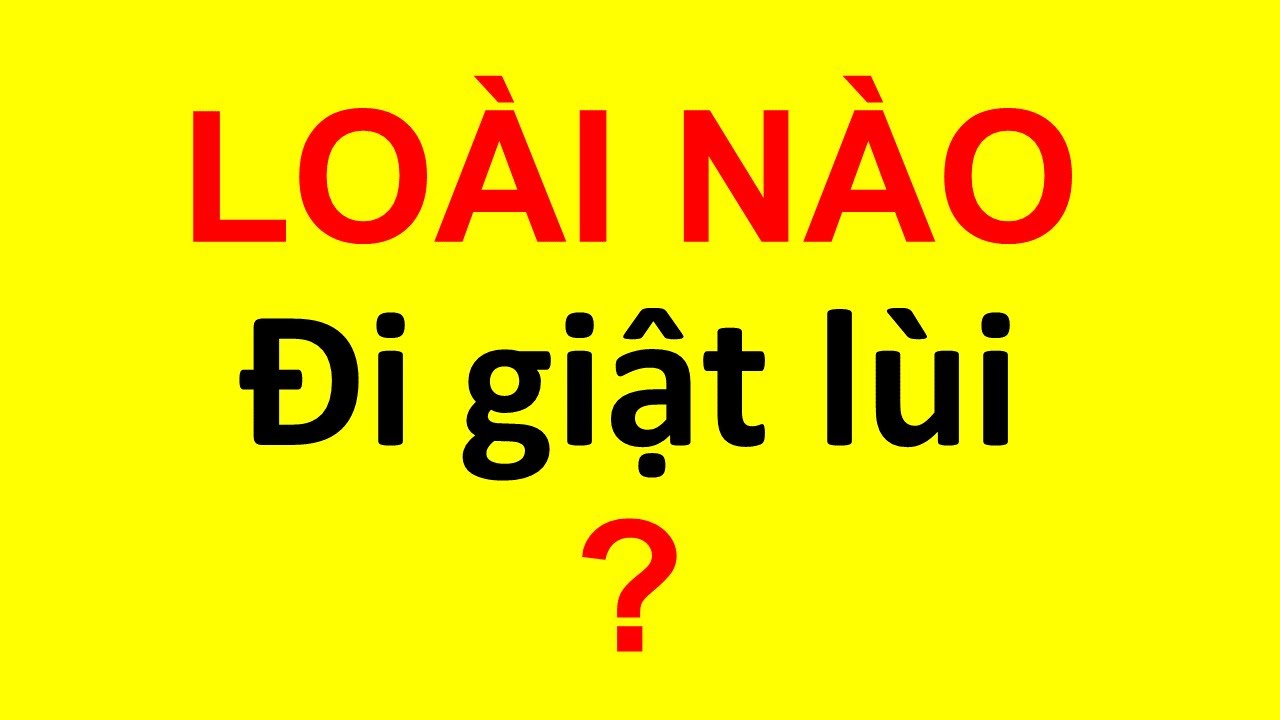 50 Câu Đố Sinh Học Vui Học Sinh Giỏi Cũng Bị Lừa   Phần 5
