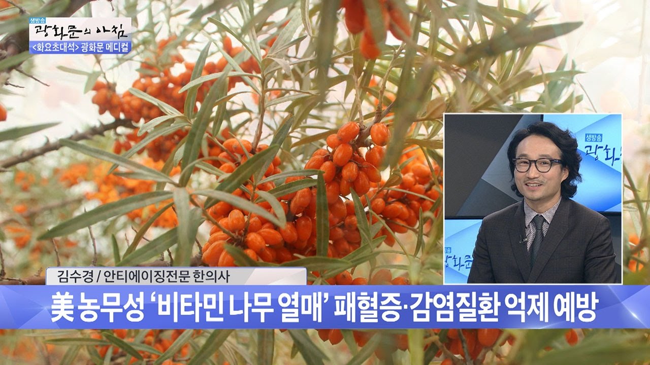 비타민 덩어리 ‘비타민 나무열매’의 기능은? [광화문의 아침] 333회 20161011