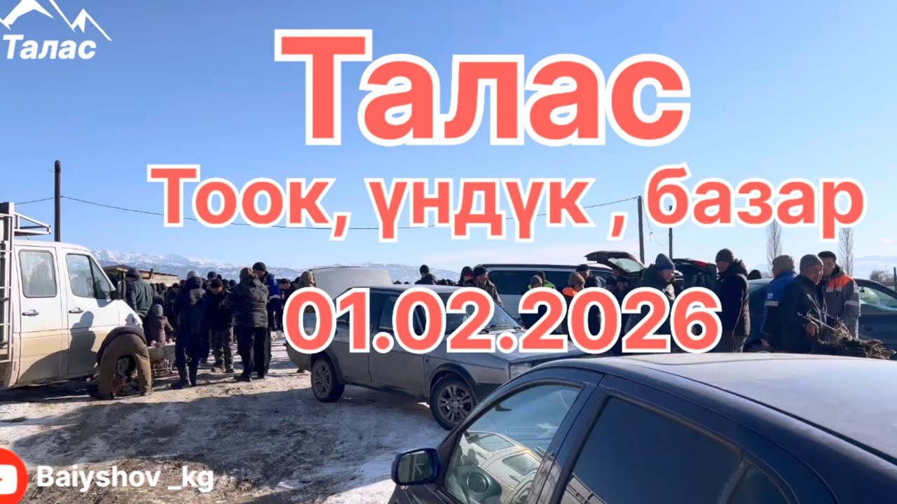 Талас Тоок базар ундук , ордок каас баары бул жакта !  #horse #rek #таласжарнама #талас #малбазар 