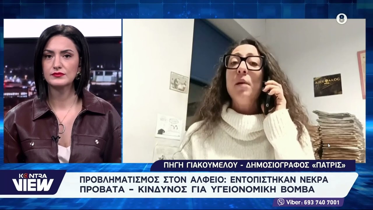 Ηλεία: Δεκάδες νεκρά πρόβατα σε αποσύνθεση στον Αλφειό / Πηγή Γιακουμέλου (ΠΑΤΡΙΣ)