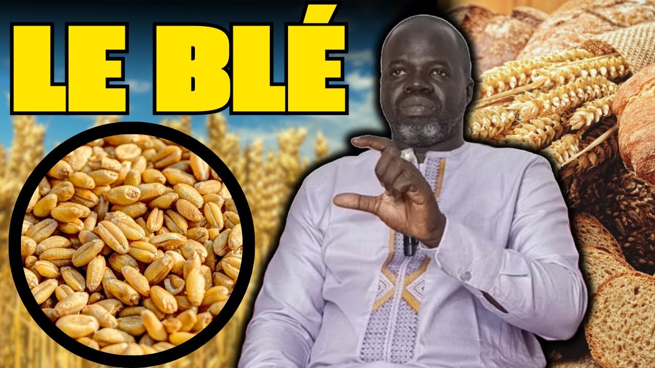 🍂 Secrets yi nékk si Blé : Les Vertus du Blé - Pr Ousmane Ndiaye - SAMA XALAAT TV