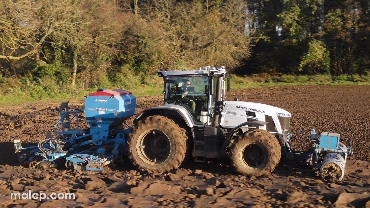 4Kᵁᴴᴰ Massey Ferguson 8S.305 tractor & Lemken Solitair 9 pneumatic drilling winter wheat in Suffolk