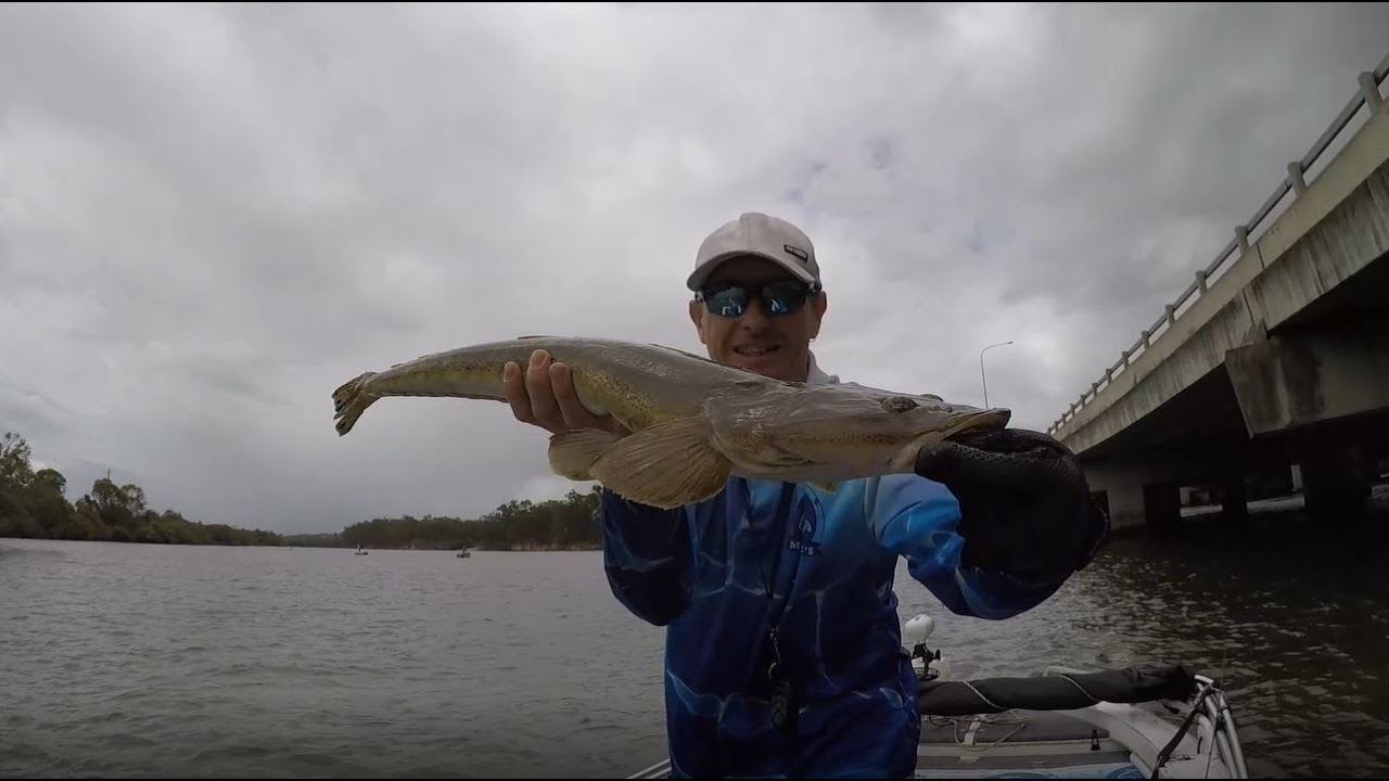 Fishing the Pine River Highway Bridge with Madmic's Ribbedfish Soft plastic Lures