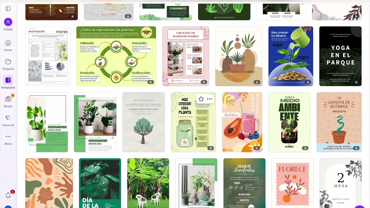 Canva 161 Video