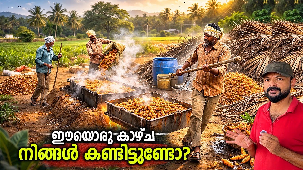 ലക്ഷങ്ങൾ വിലയുള്ള ഇലകൾ കൃഷി ചെയ്ത് ജീവിക്കുന്ന കർണാടകയിലെ ഗ്രാമങ്ങൾ..കർണാടകയിലെ തനി ഉൾഗ്രാമക്കാഴ്ചകൾ
