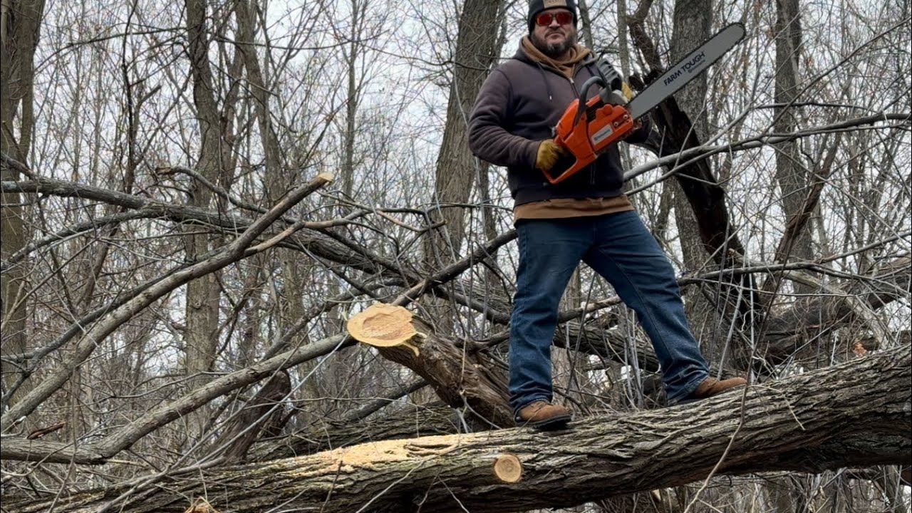 Cutting More Wood With My Husqvarna 455