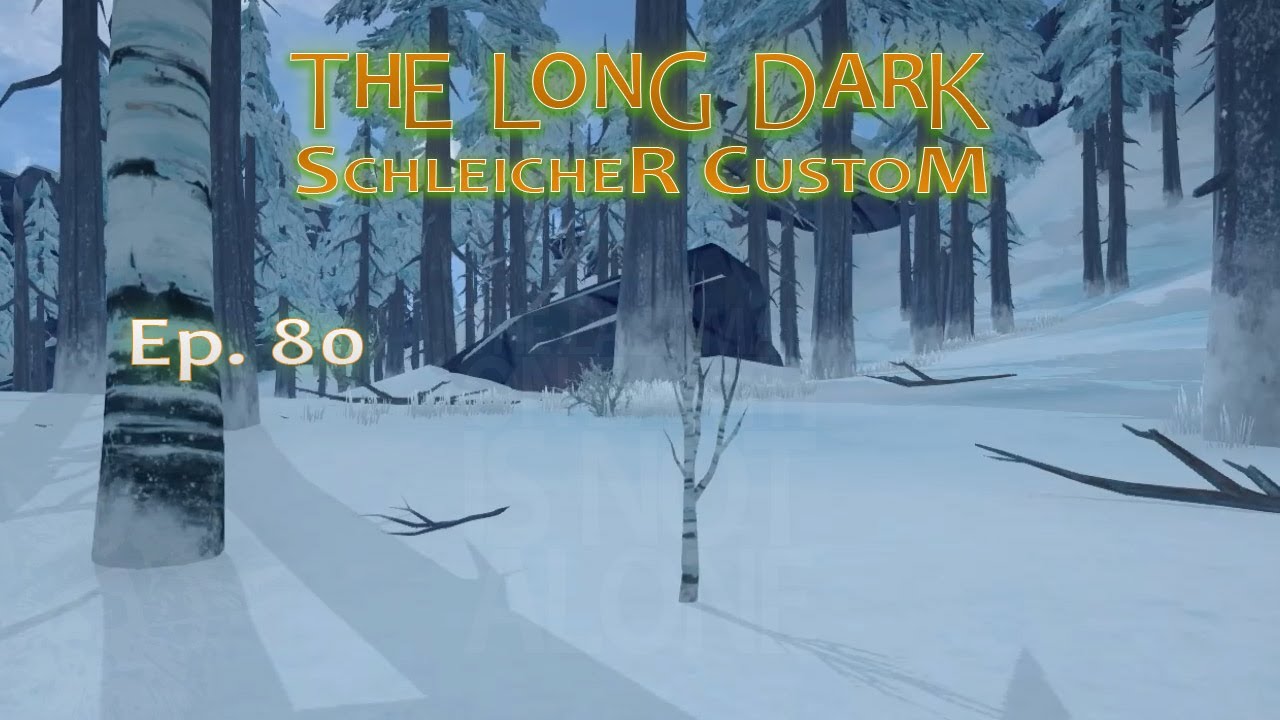 ESKALIERENDER SCH&Ouml;SSLING &middot; THE LONG DARK 🏔️ Schleicher Custom &middot; Ep. 80