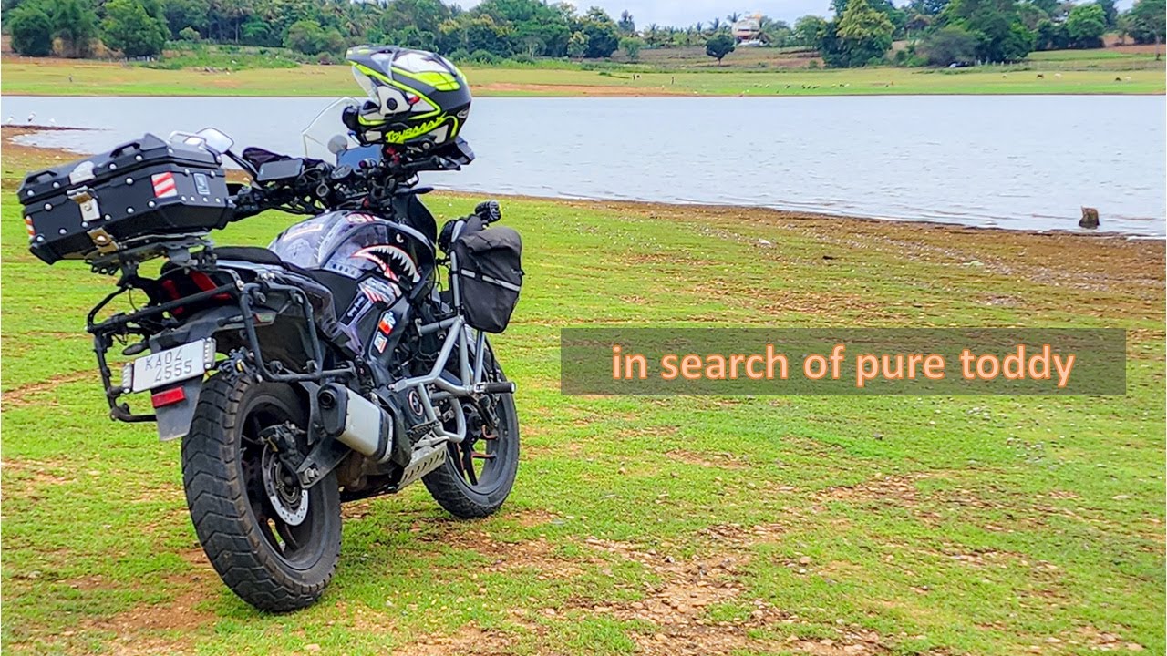 In Search of Pure Toddy 🍃 | Exploring Tree Houses in Nagarhole Tiger Reserve 🐅🌴