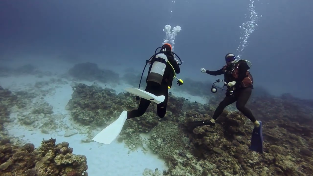 LOG 0006 20260126 092122 JAPAN OKINAWA OKDive CoCoOcean