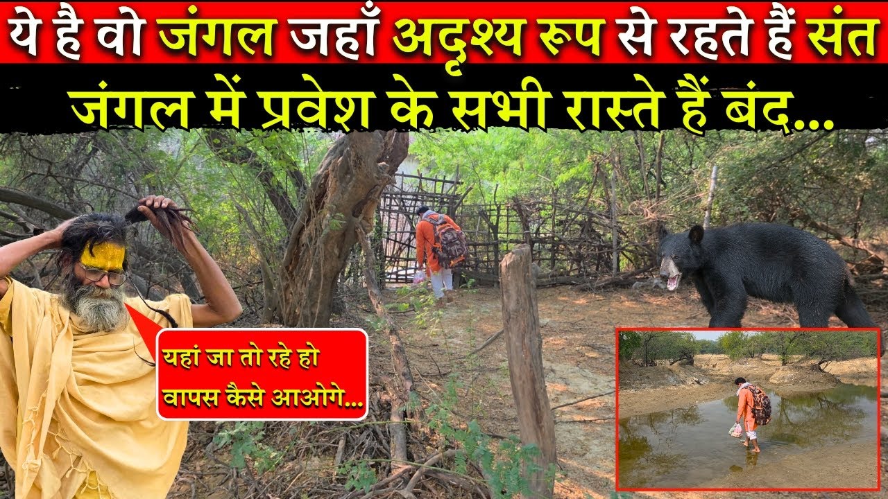 इस जंगल में अदृश्य रूप में रहते हैं साधु संत..जंगल में प्रवेश के सभी मार्ग हैं बंद..@BrajVihar