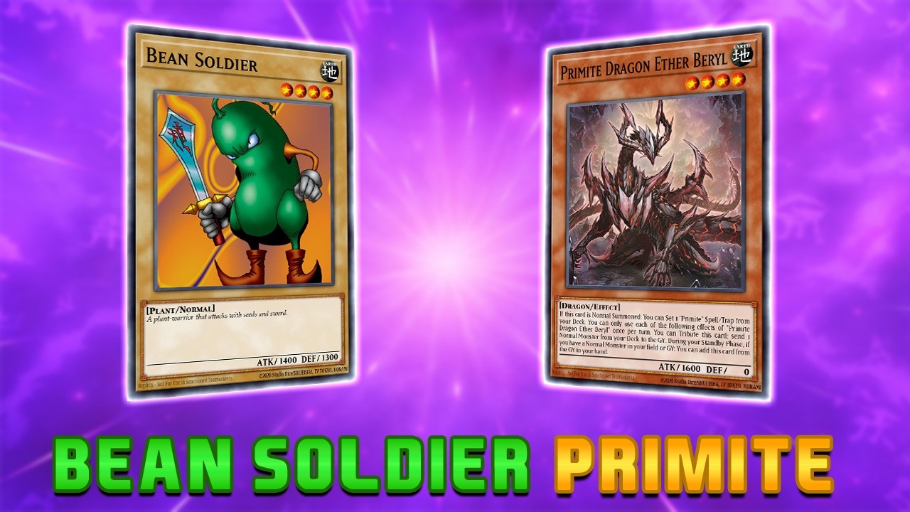 Профиль колоды META Bean Soldier PRIMITE (ноябрь 2025 г.)!