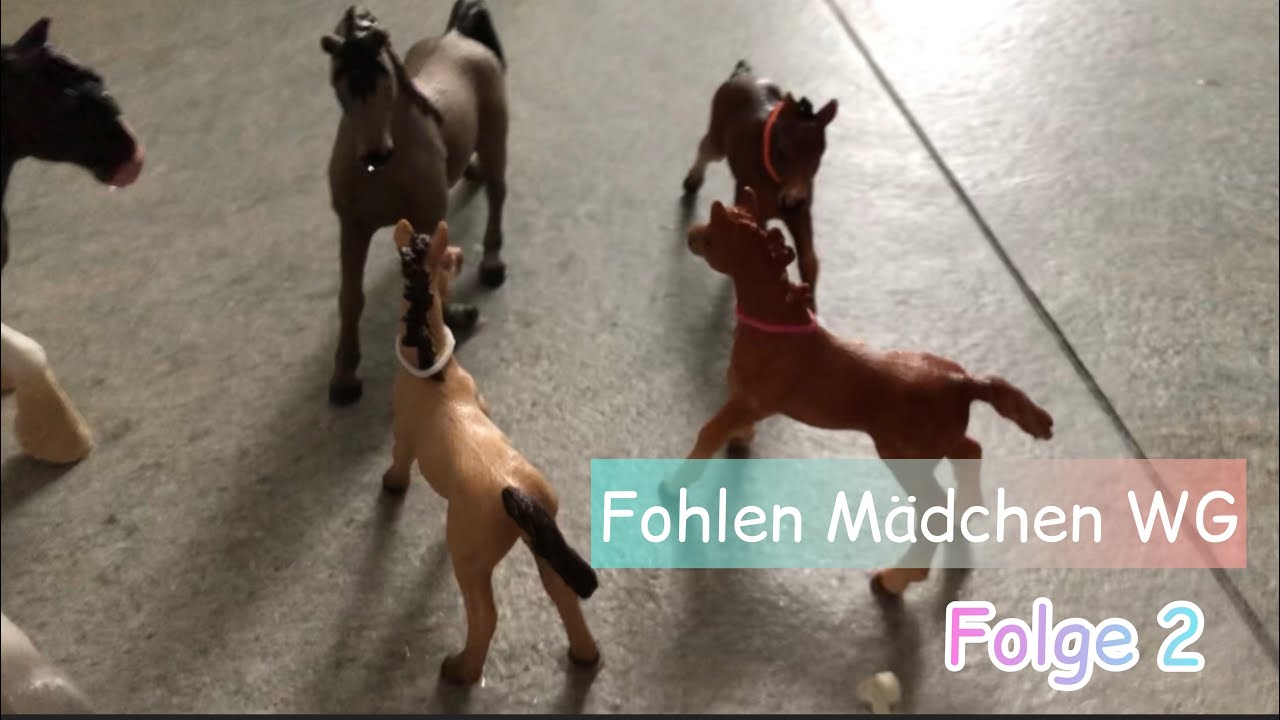 Fohlen Mädchen WG Folge 2