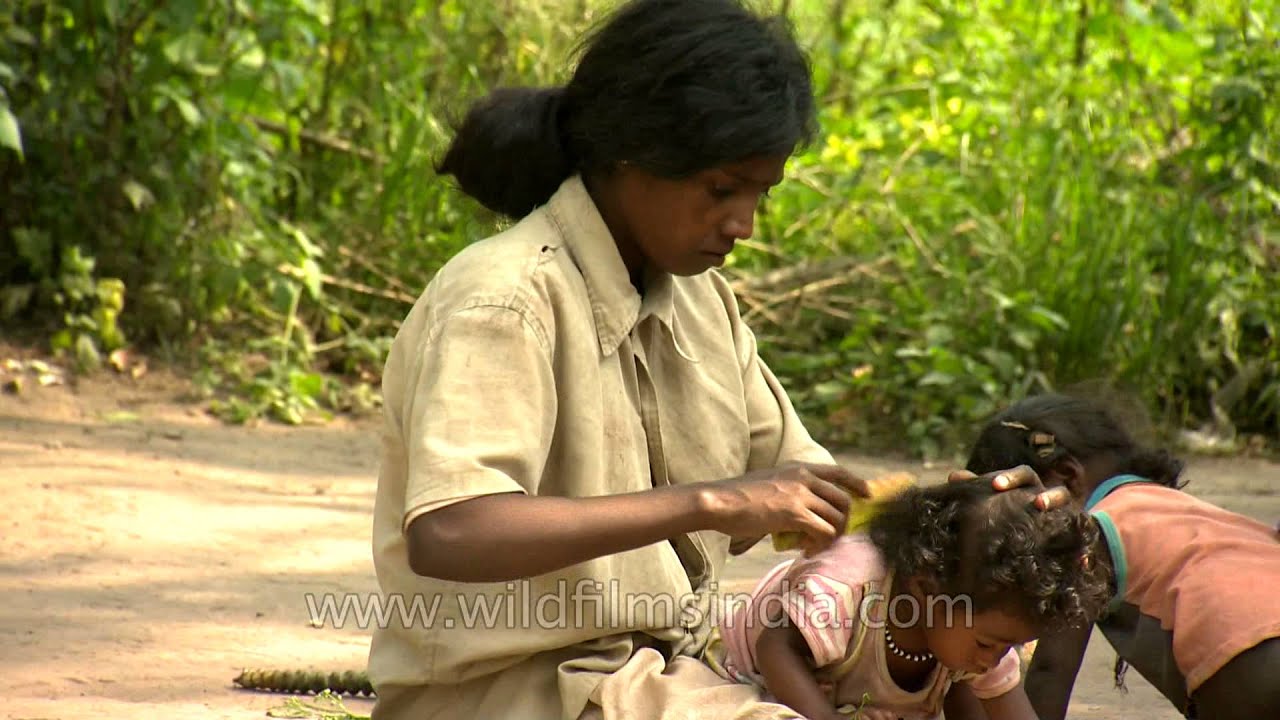 Content with the laidback forest life: South Indian tribal life