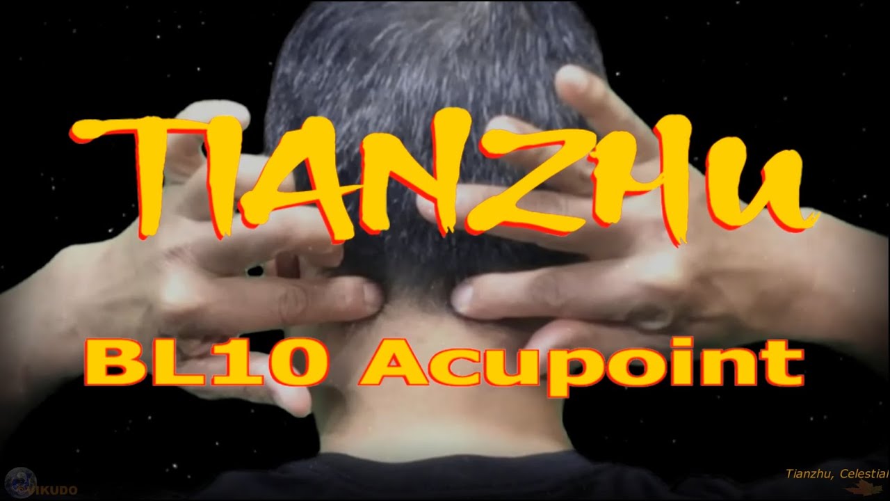 BL10 |  Tianzhu Acupoint | Bladder Meridian | Acupressure VIKUDO