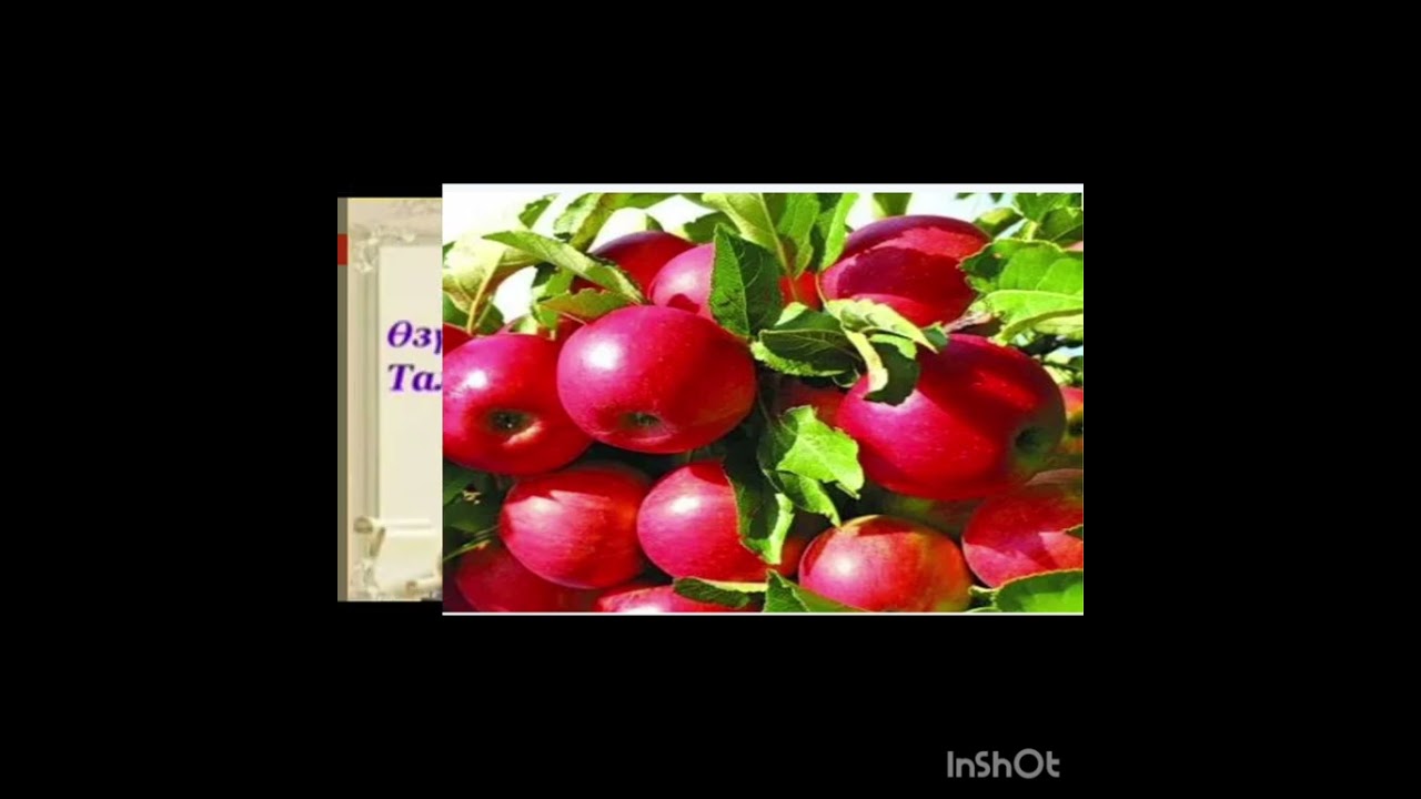 19 февраля 2026 г.
