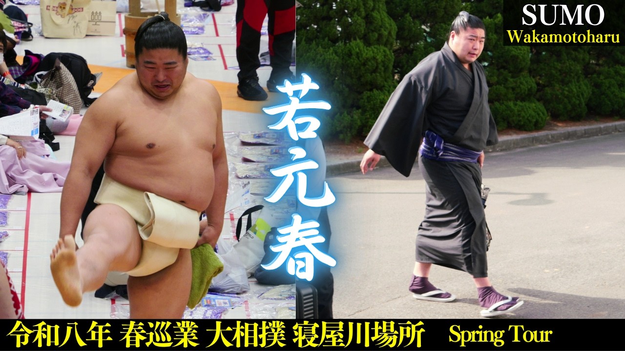 礼儀正しく笑顔が溢れる若元春❗vs 髙安戦 Wakamotoharu『寝屋川場所 春巡業 大相撲2026』SUMO