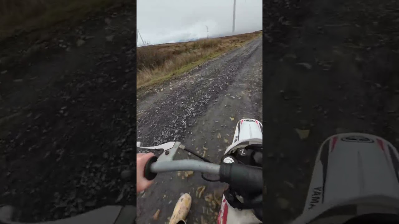 Layla POV Pw50