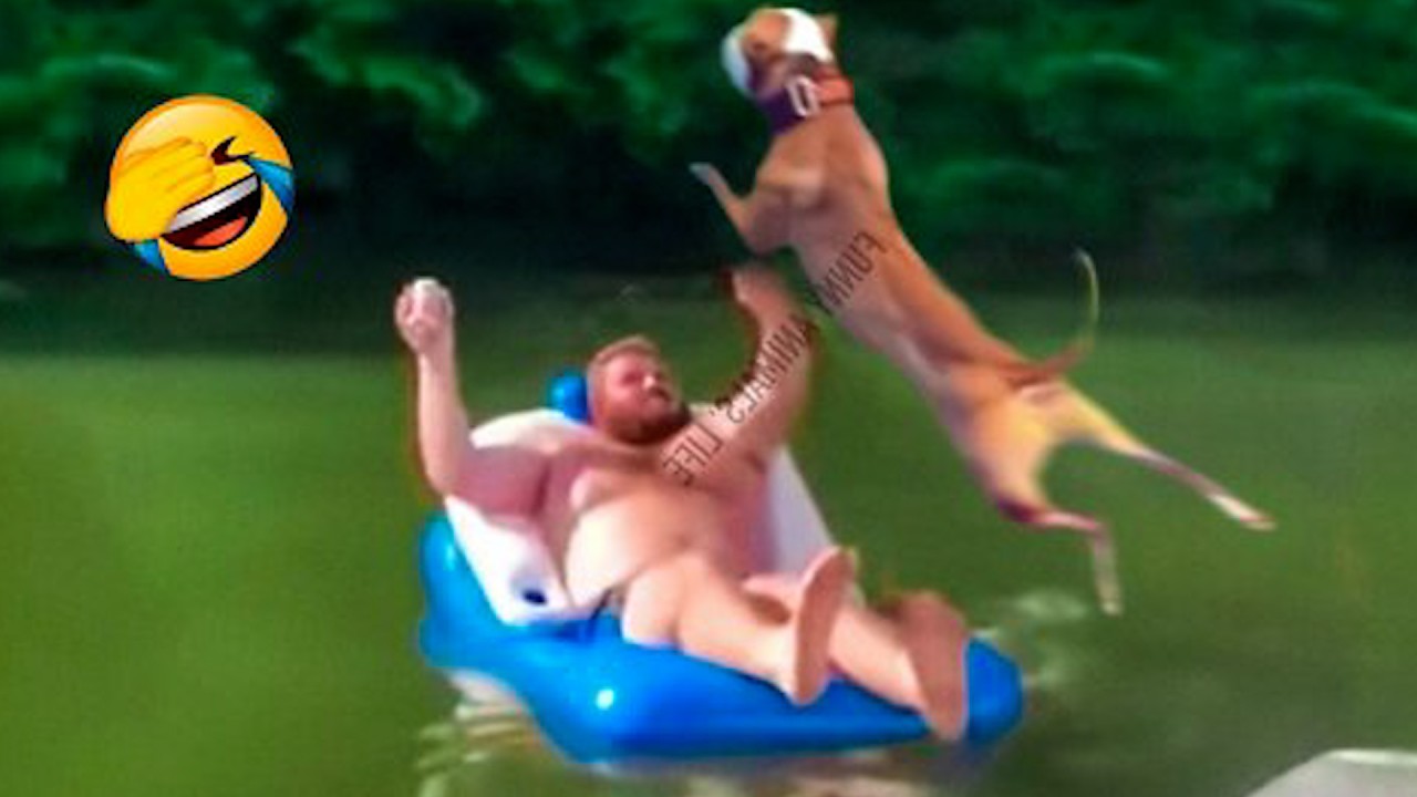 Best Funny videos and crazy fails moments | Try not to laugh challenge 😂 #1