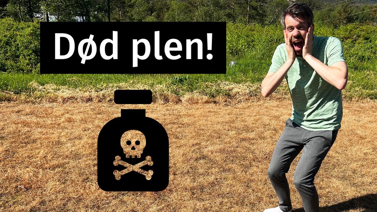 Skal du lufte plenen? Se denne først:)