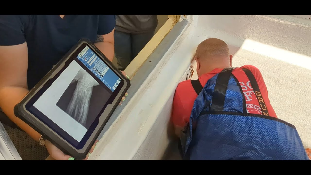 Veterinary team performs follow up radiographs on Grey seal #25-049 (Brigantine)