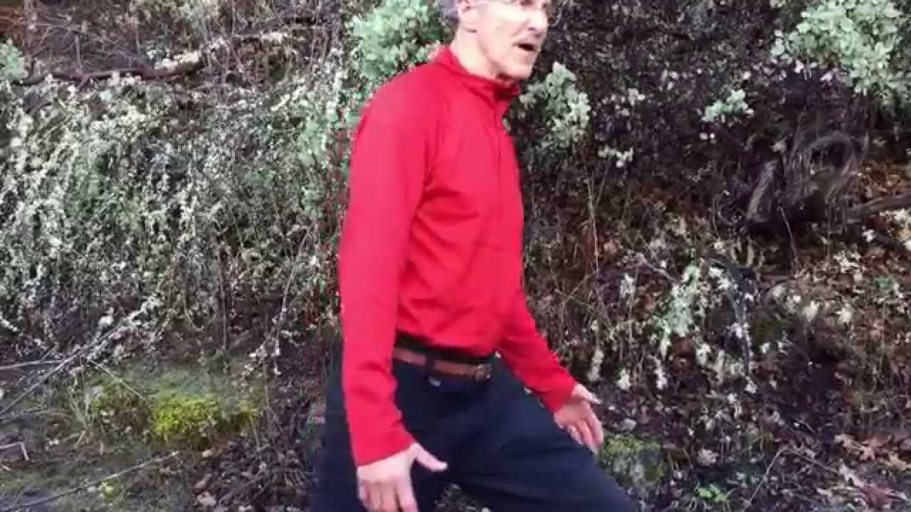 Woodpecker plus- for the hip