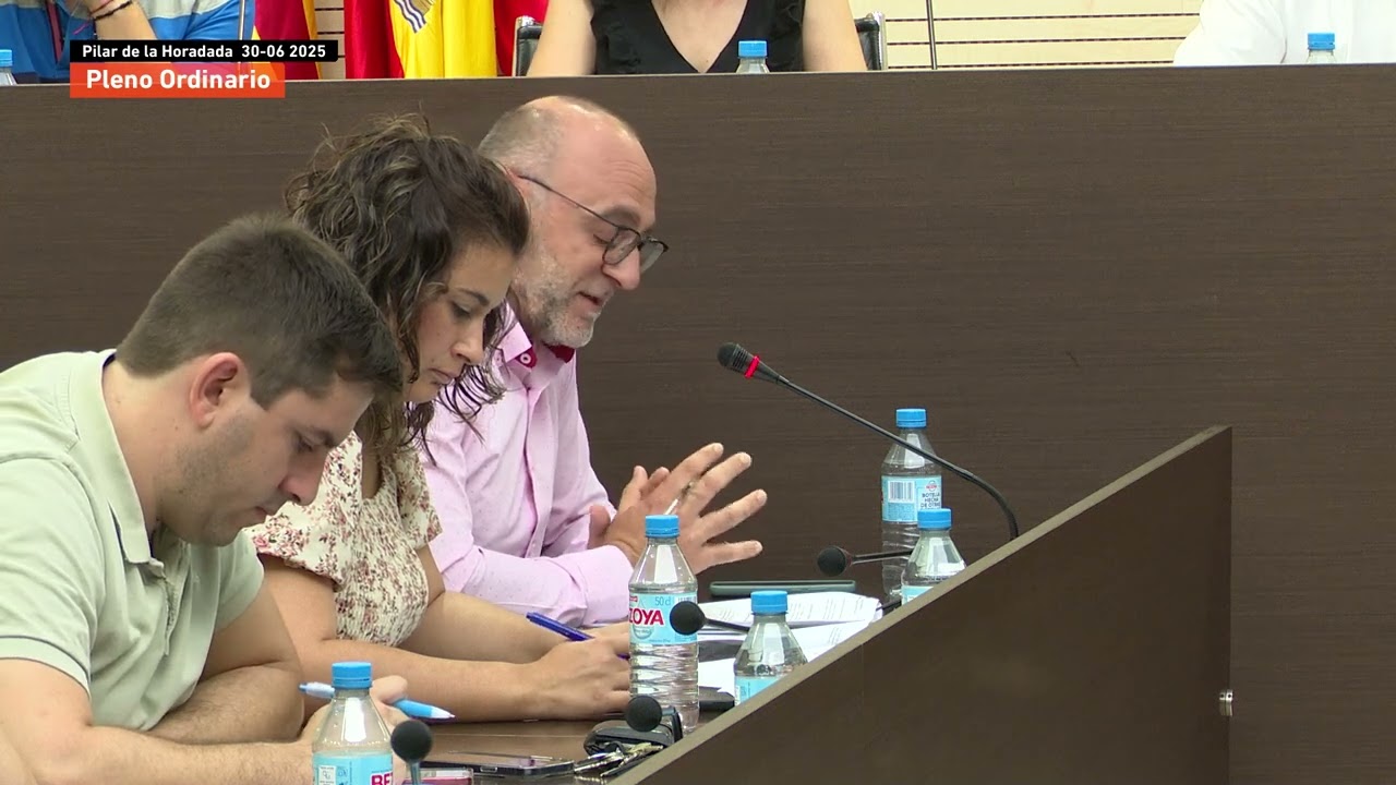 Pleno Ordinario 30 de junio de 2025