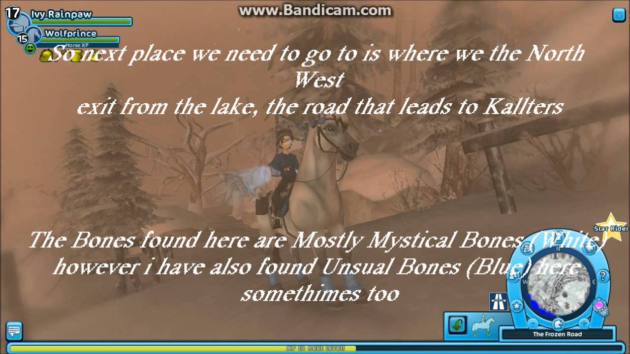 Stones for Dinosaur Bone Hunting  ~ Star Stable Online