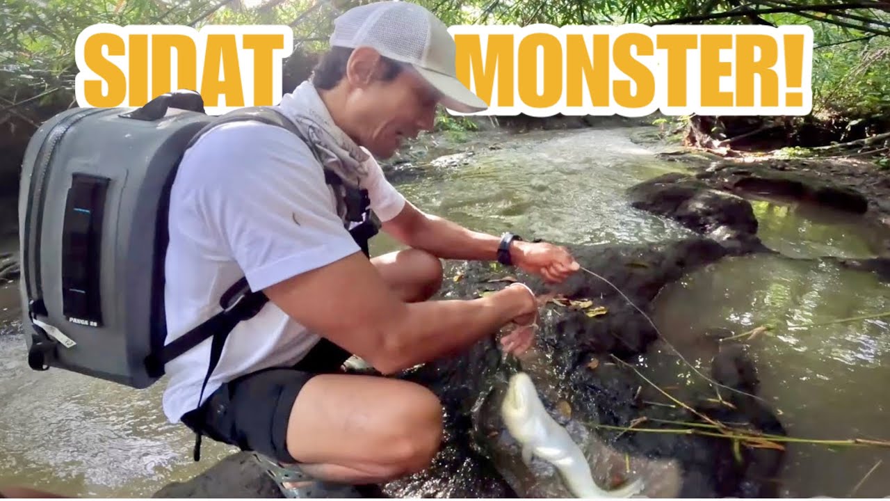 PERTAMA KALI MAKAN IKAN INI TERNYATA MEMANG LEZAT BANGET!