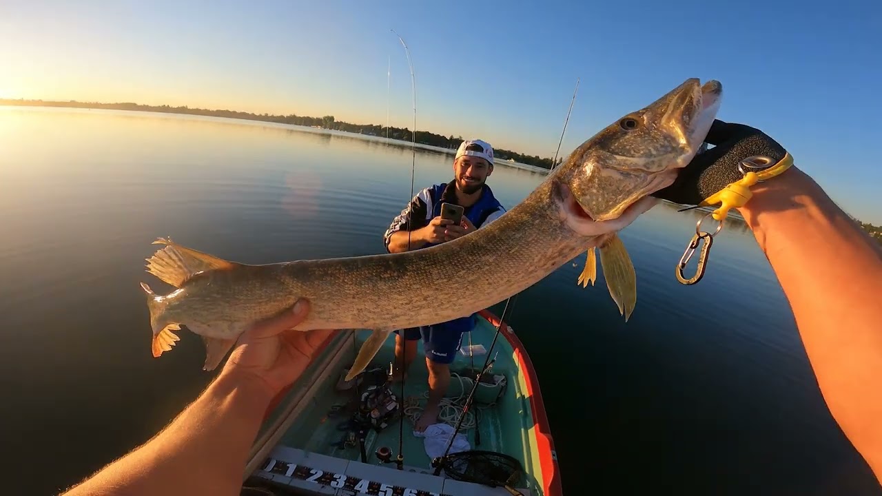 Session brochet sur le mythique Grand Large ( 69 )