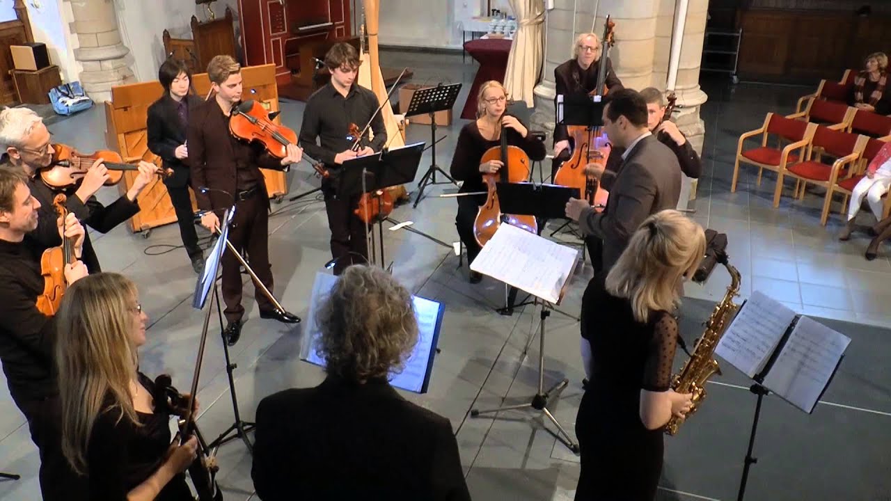 Christian Blaha - Concerto for Saxophone and String orchestra - TY Zeeuws kamerorkest
