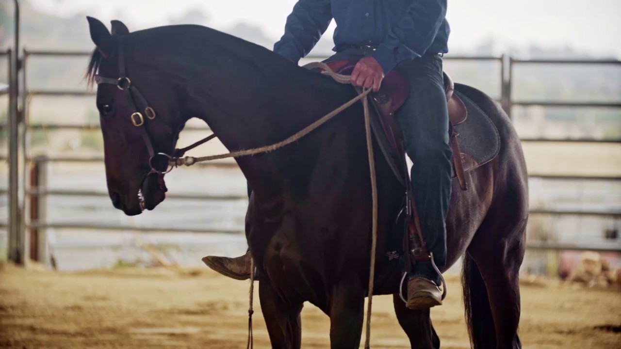 Steven Hart - Horsemanship   Part 4   Riding Exercises 2017