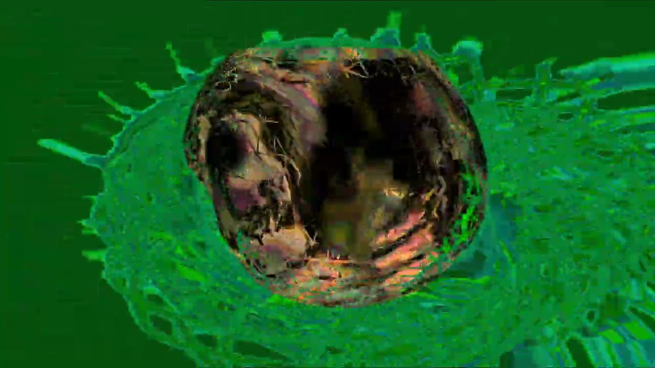 MOOTZMIXX  DISCO BISCUIT  MD FROM 2000s