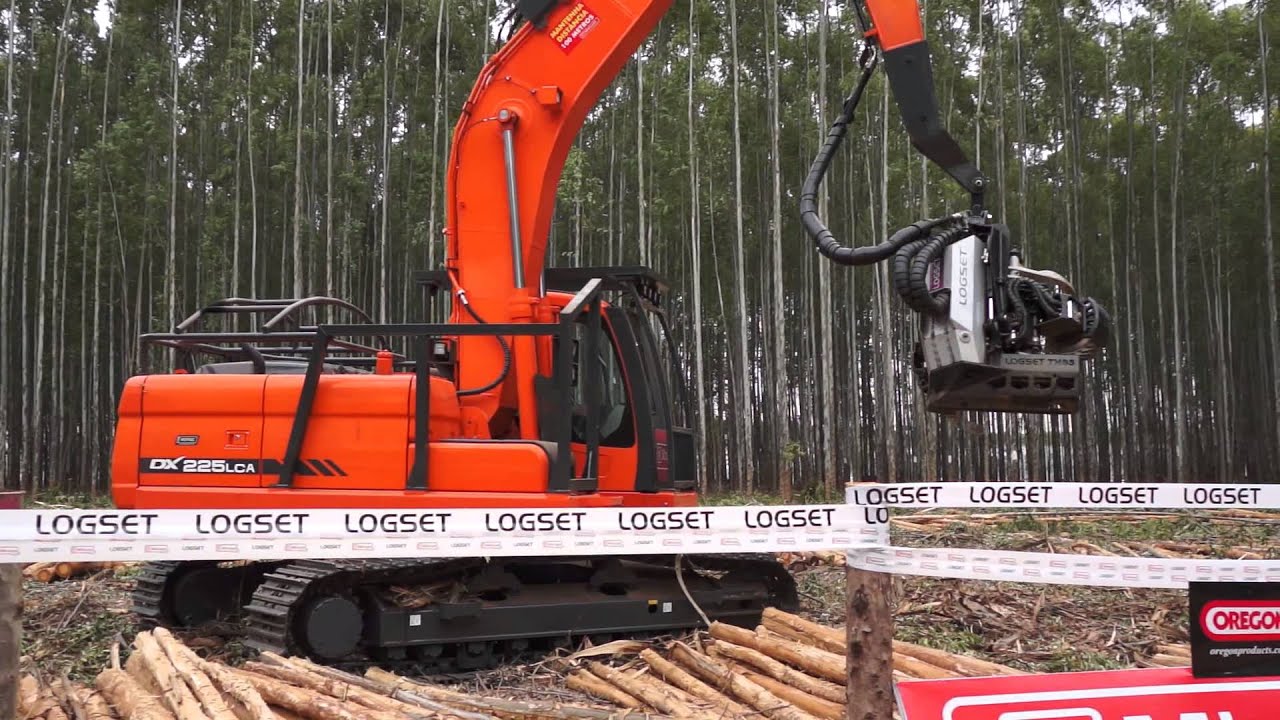 LOGSET TH65