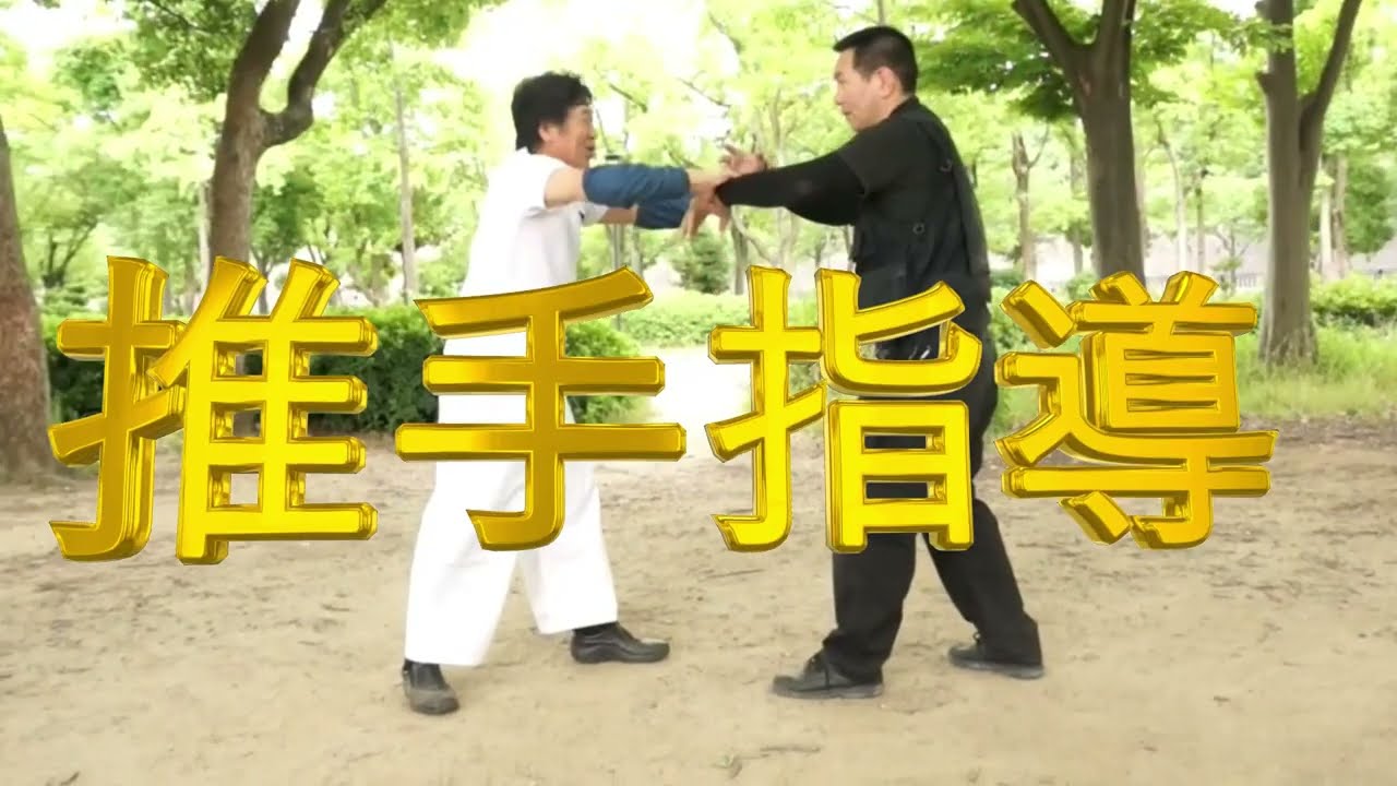 何のために”推手”を練習するのか？　太気拳 　高木康嗣先生　Why do we practice “Suisyu推手”?