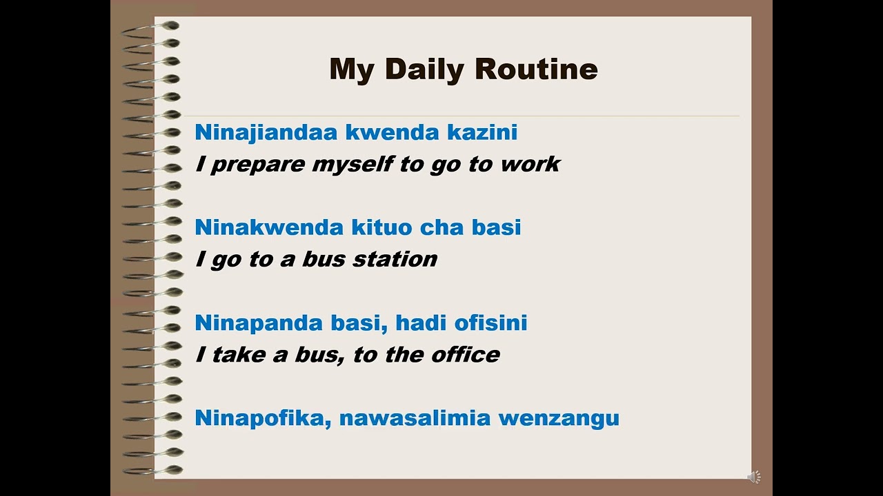 My Daily Routine