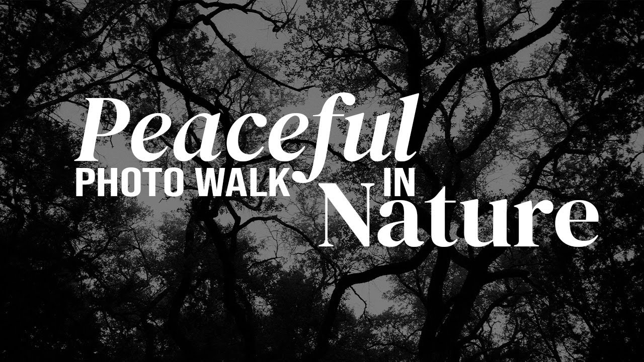 A (Peaceful) Photo Walk in Nature