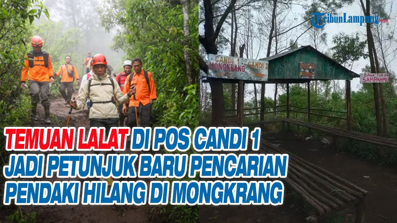 Temuan Lalat di Pos Candi 1 Jadi Petunjuk Baru Pencarian Pendaki Hilang di Mongkrang