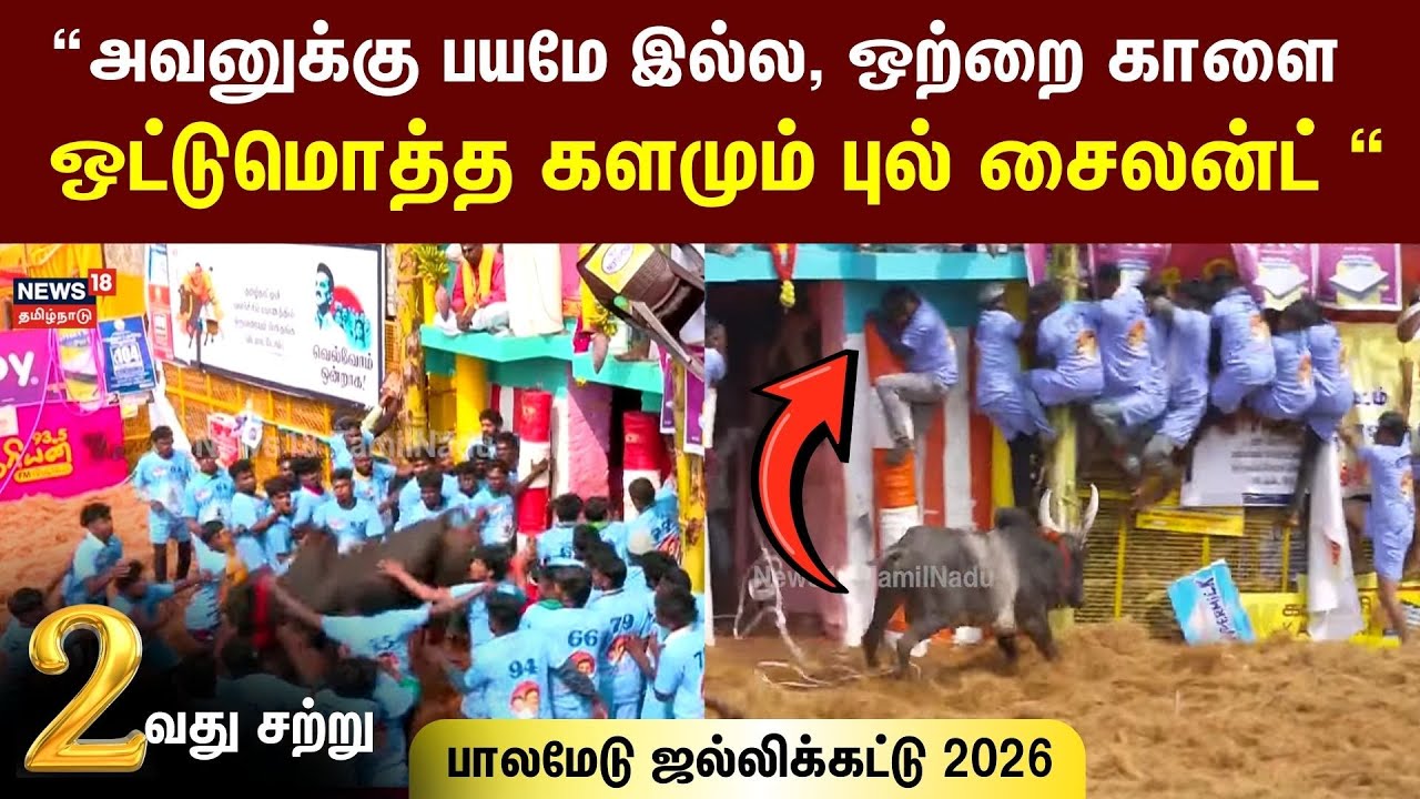 Palamedu Jallikattu 2026 | Round 2 | “அவனுக்கு பயமே இல்ல, ஒற்றை காளை ஒட்டுமொத்த களமும் புல் சைலன்ட்“