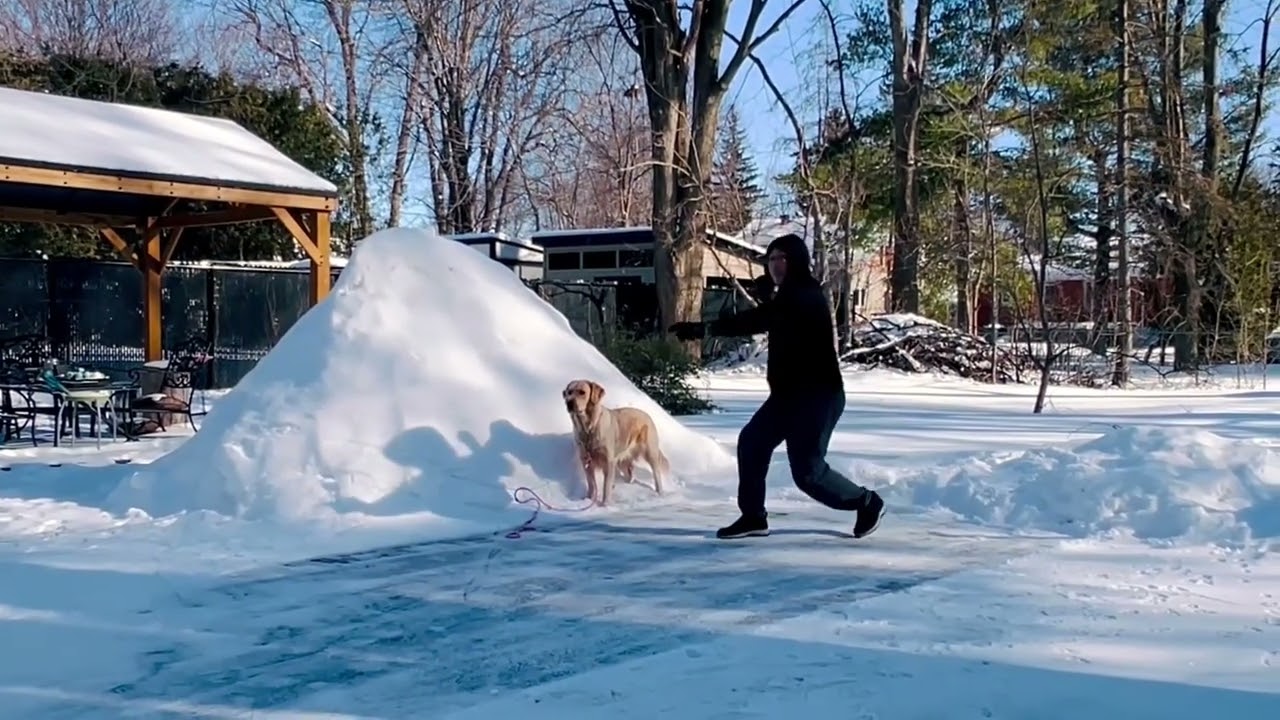 5-Element Linking Form (part 1) in Cold Weather