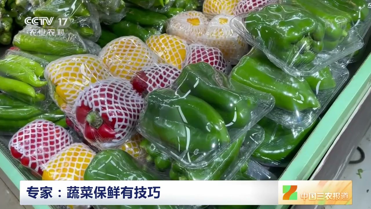 [中国三农报道]专家：蔬菜保鲜有技巧|农业致富经 Agriculture And Farming