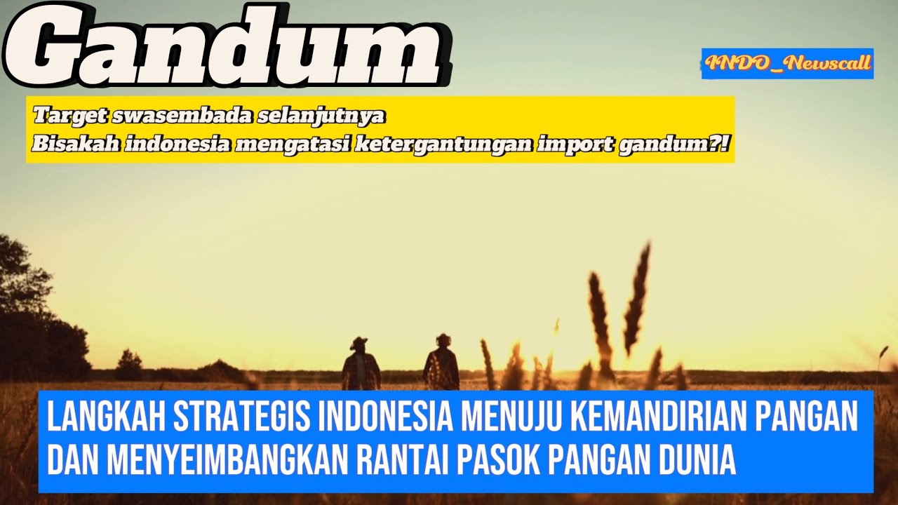 Uji Coba Gandum: akankah Indonesia berhasil mengurangi ketergantungan import gandum?