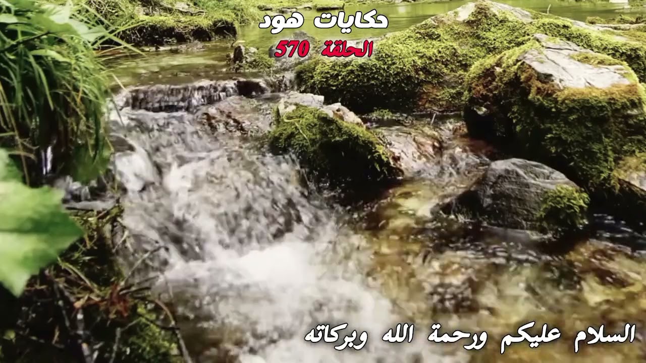 شوفو هادشي غريييب بزاااف 😱💔
