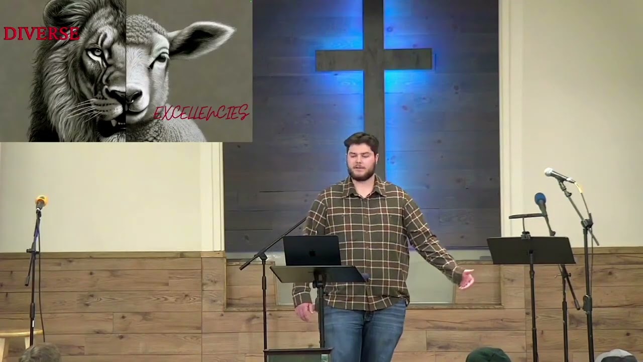Grace and Truth || Diverse Excellencies || Philip Wilson