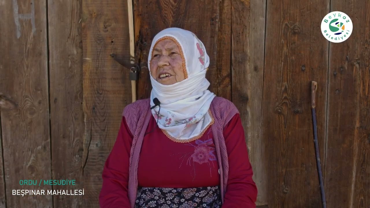 Beykoz'un Renkleri: Ordu Mesudiye Beşpınar Mahallesi